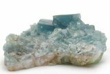 Cubic, Blue-Green Fluorite Crystal Cluster with Phantoms - China #217449-1